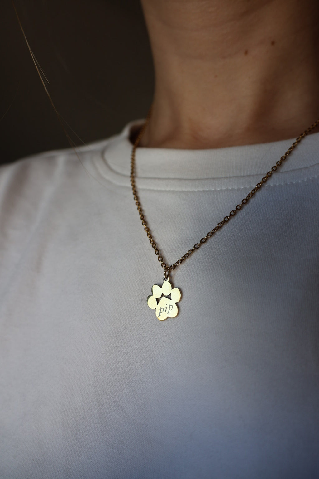 Soul paw ketting